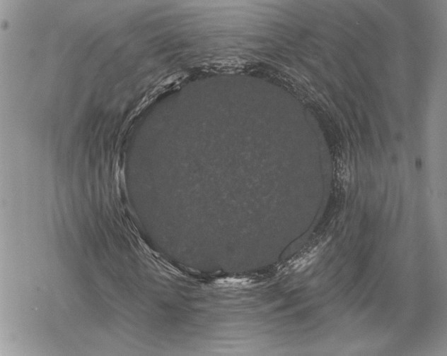 X0000070340818200606121138