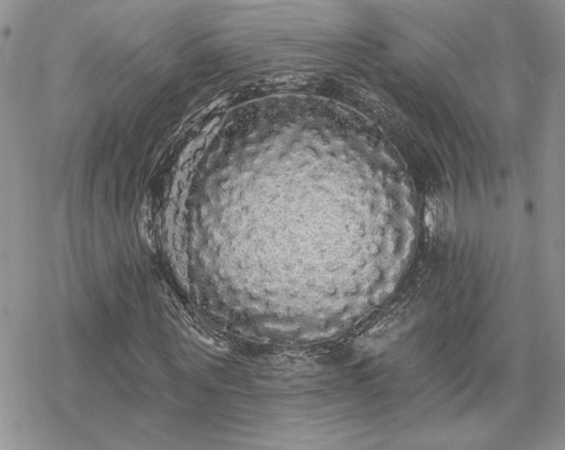 X0000070340867200606121138