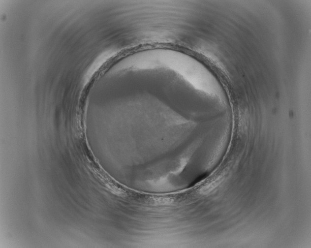 X0000070340878200606121138