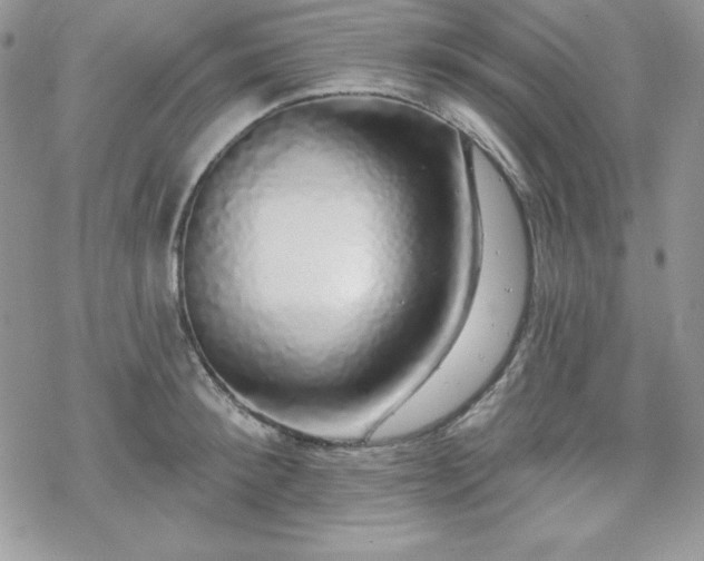 X0000070340900200606121138