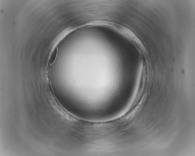X0000070340908200606121137
