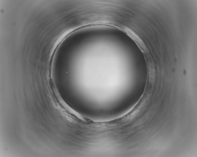 X0000070340956200606121137