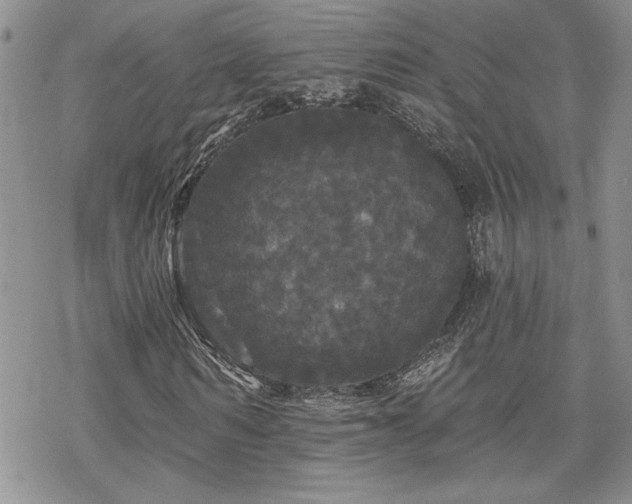 X0000070340962200606121137
