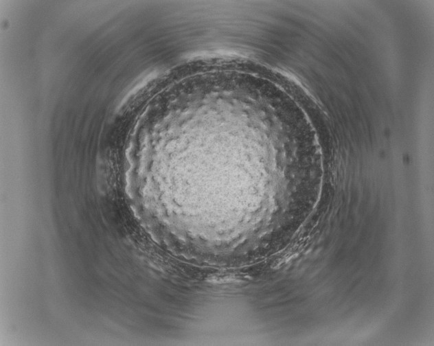 X0000070340967200606121137