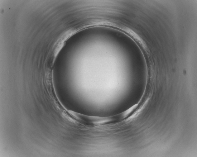 X0000070341001200606121136