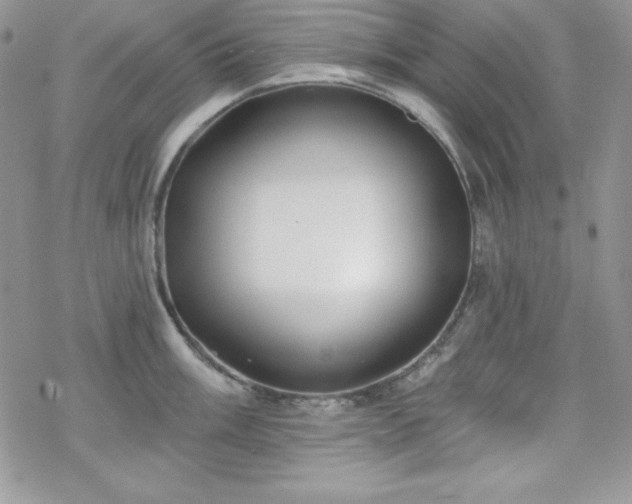 X0000070341003200606121136