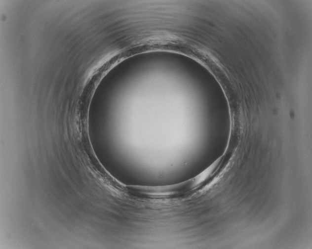 X0000070341018200606121135