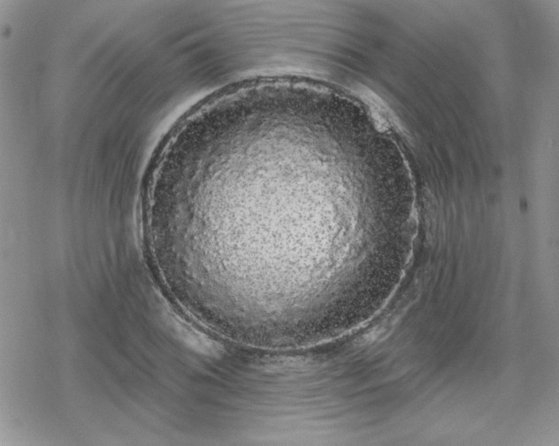 X0000070341076200606121135