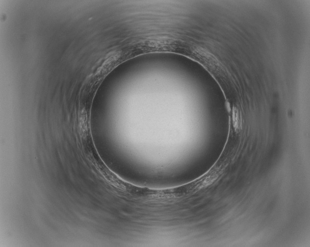 X0000070341107200606121134