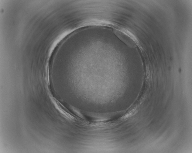 X0000070341128200606121134