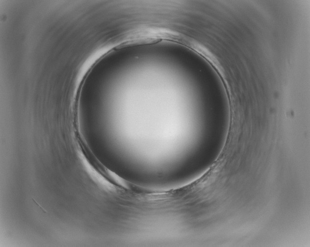 X0000070341152200606121134