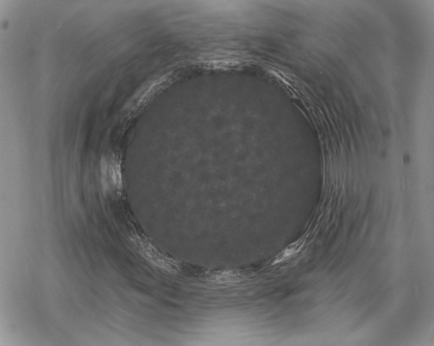 X0000070341155200606121133