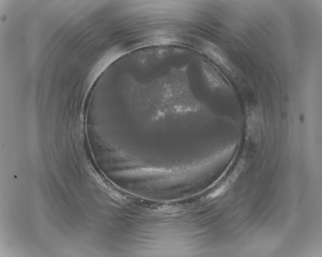 X0000070341178200606121133