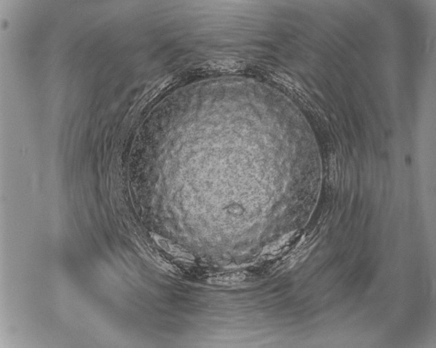 X0000070341201200606121132