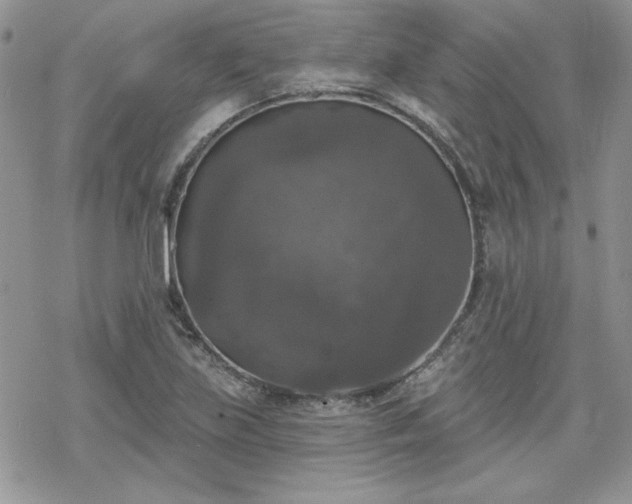 X0000070341219200606121132