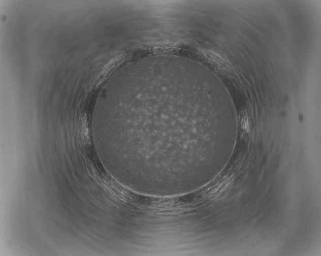 X0000070341252200606121132