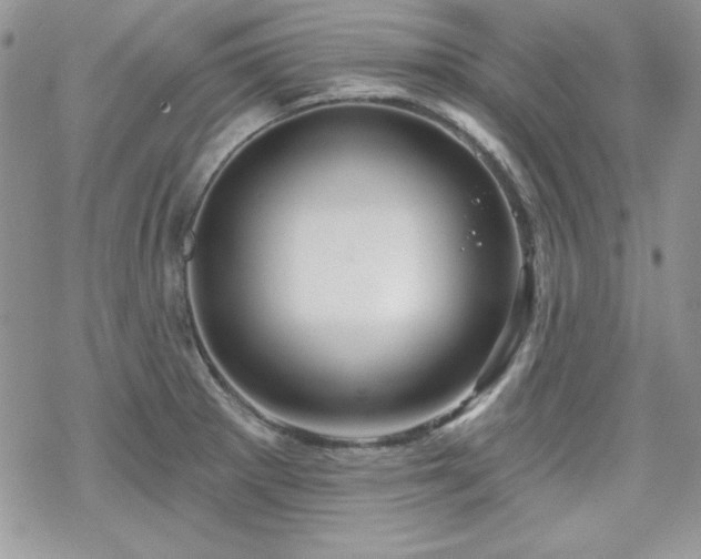 X0000070341281200606121131