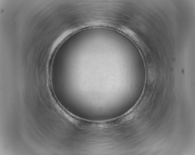 X0000070341286200606121131