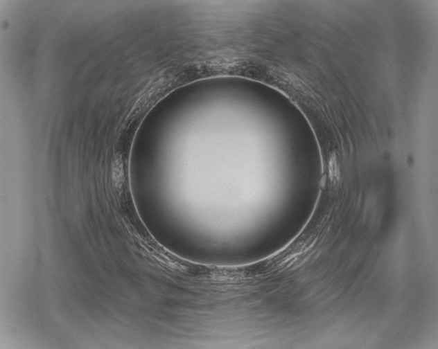 X0000070341299200606121130
