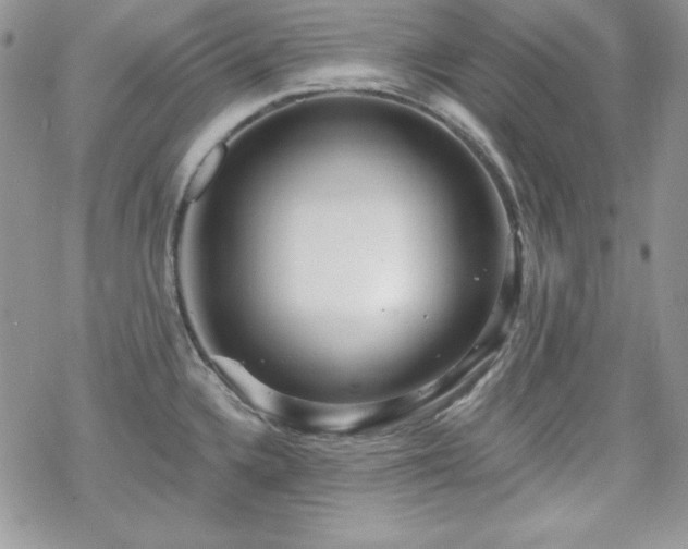 X0000070341336200606121131