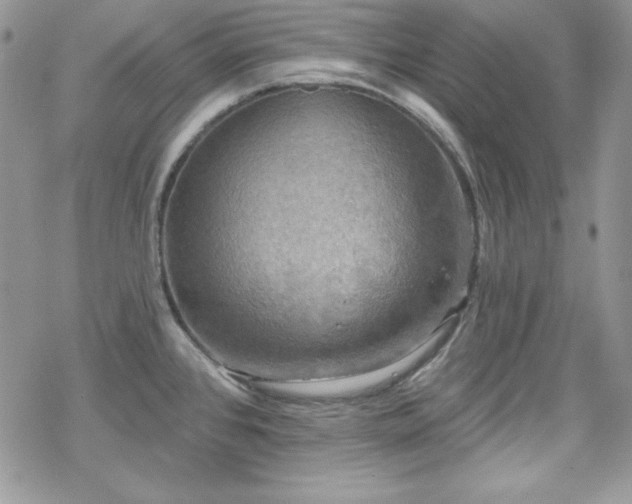 X0000070341384200606121130