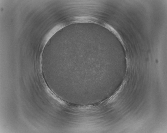 X0000070341386200606121130