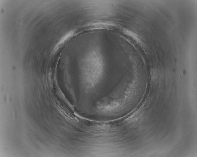 X0000070341403200606121129