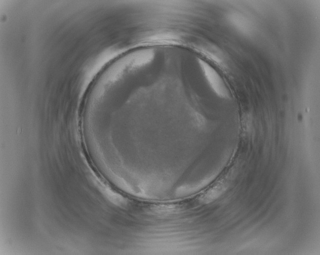 X0000070341470200606121128