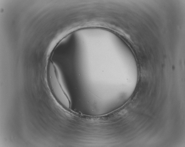 X0000070341512200606121128