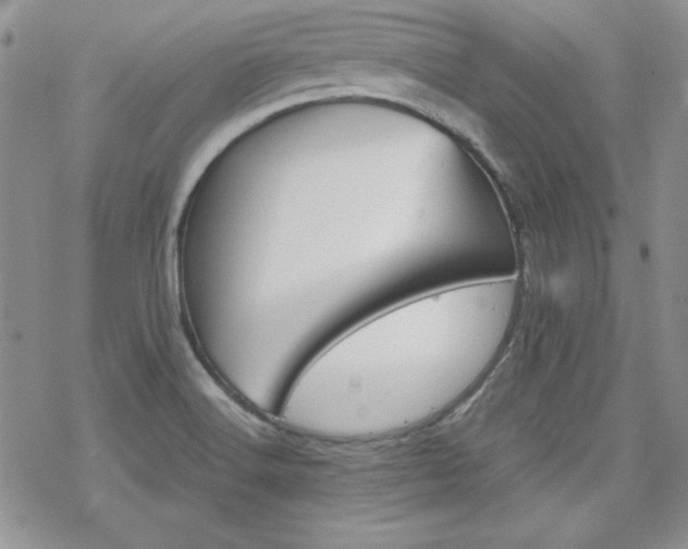 X0000070341516200606121128