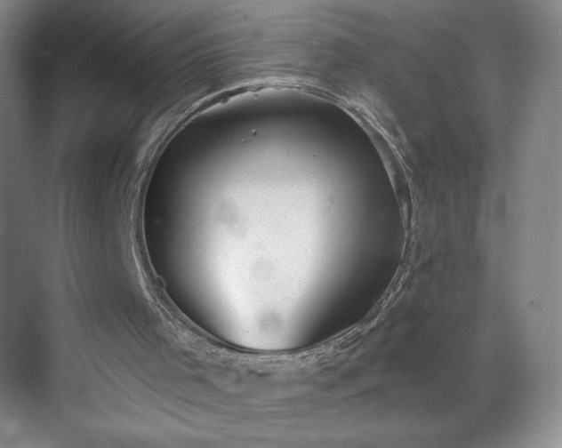 X0000070340001200606161302