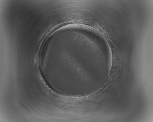 X0000070340002200606161302