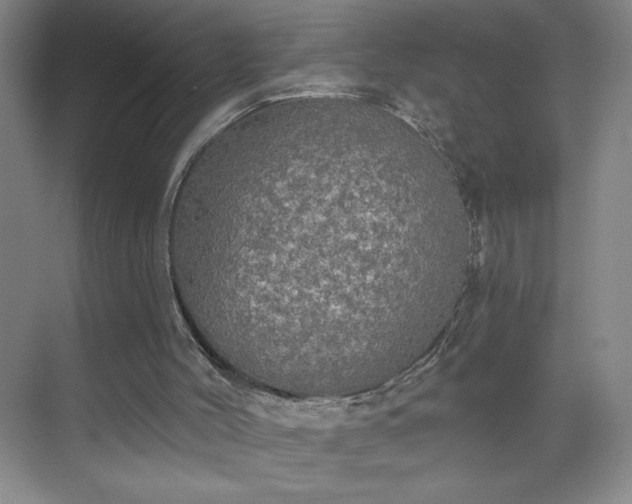 X0000070340004200606161302