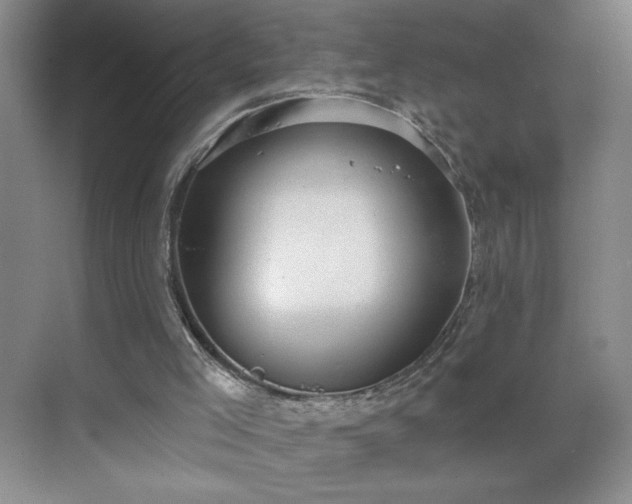 X0000070340005200606161302