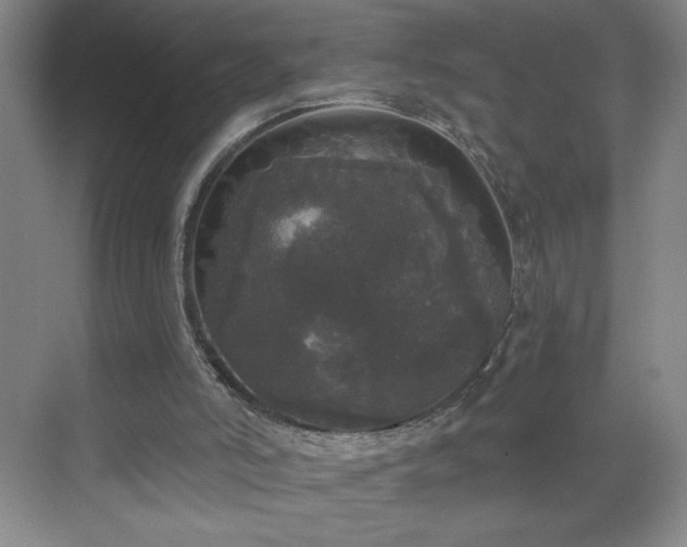 X0000070340006200606161302