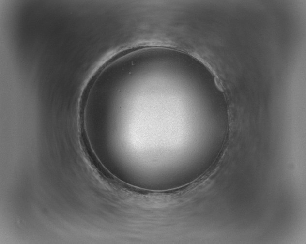 X0000070340008200606161302