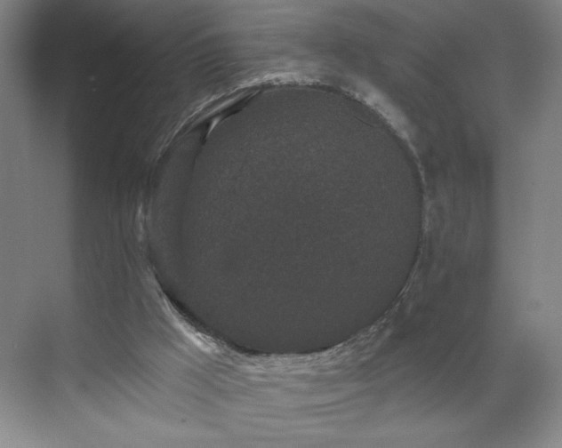 X0000070340009200606161302