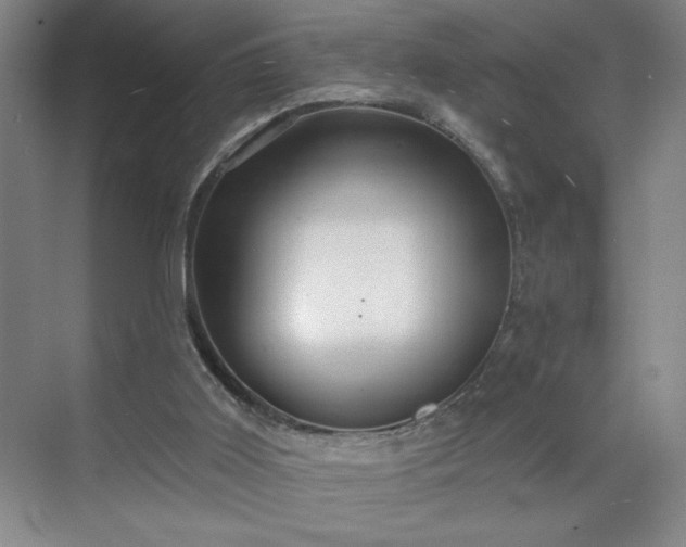 X0000070340011200606161302