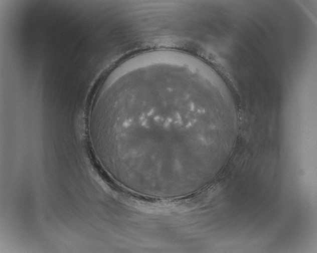 X0000070340012200606161302