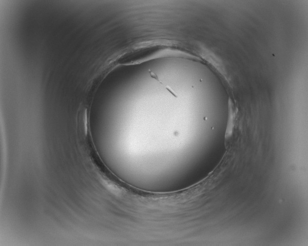 X0000070340013200606161302