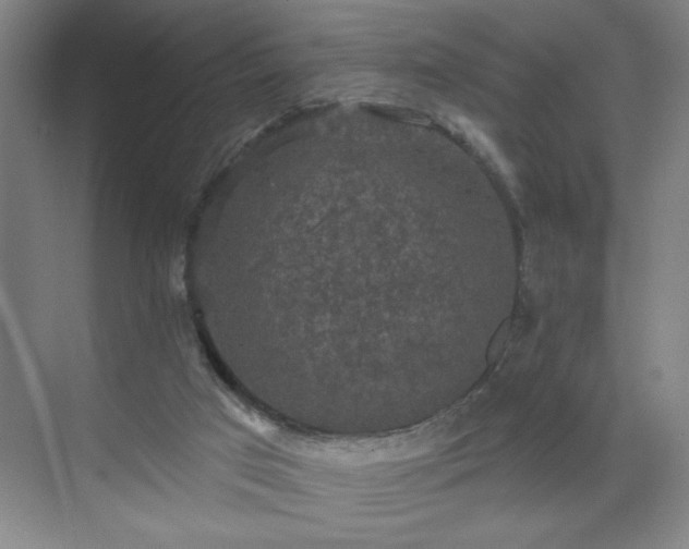 X0000070340017200606161302