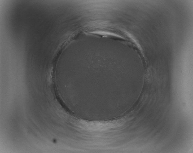 X0000070340018200606161302