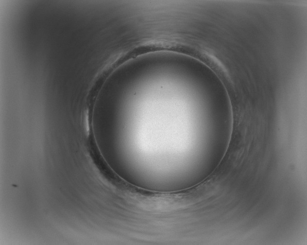 X0000070340020200606161302