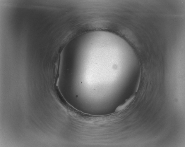 X0000070340021200606161302