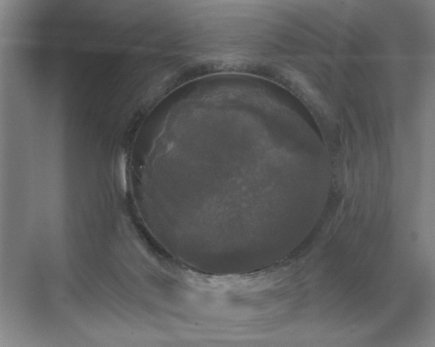 X0000070340022200606161302