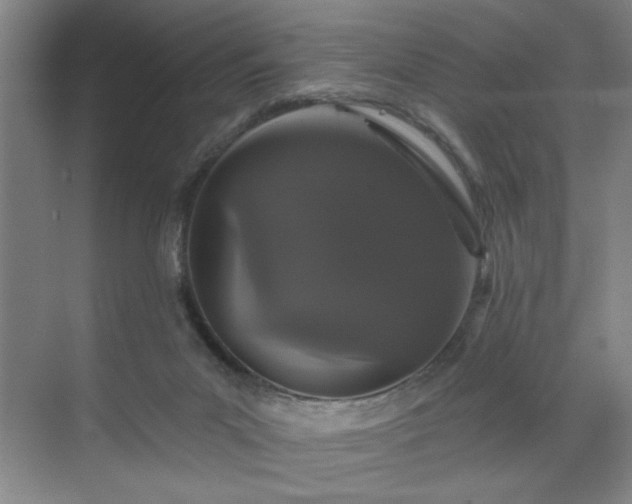 X0000070340023200606161302