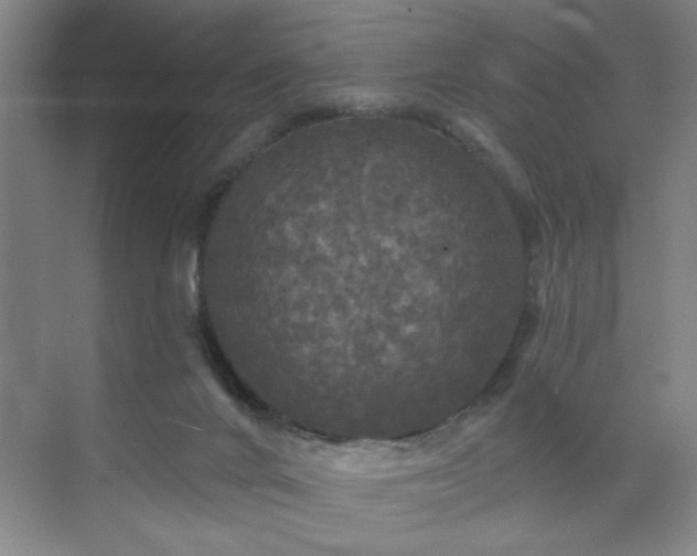 X0000070340024200606161302