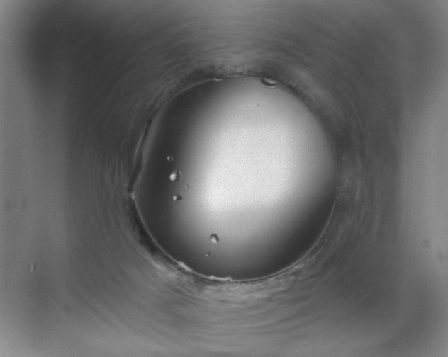 X0000070340025200606161302