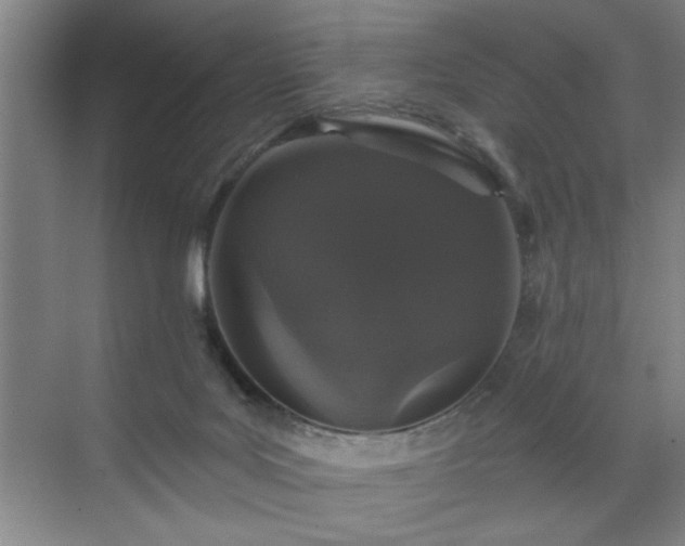 X0000070340027200606161302