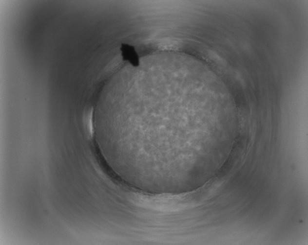 X0000070340028200606161302